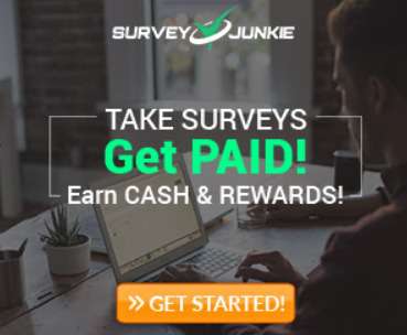 Survey Junkie - Anket (2)