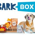 BarkBox Aboneliği + ÜCRETSİZ Funboy Splash Pad!