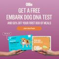 Ollie’den %60 İndirim + Ücretsiz Kargo Fırsatı