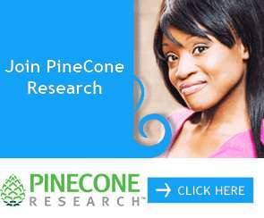 


                                                     Pinecone Research anket sitesi