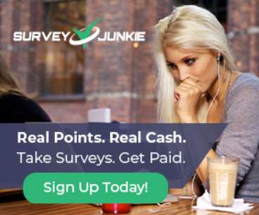 Survey Junkie- Anket