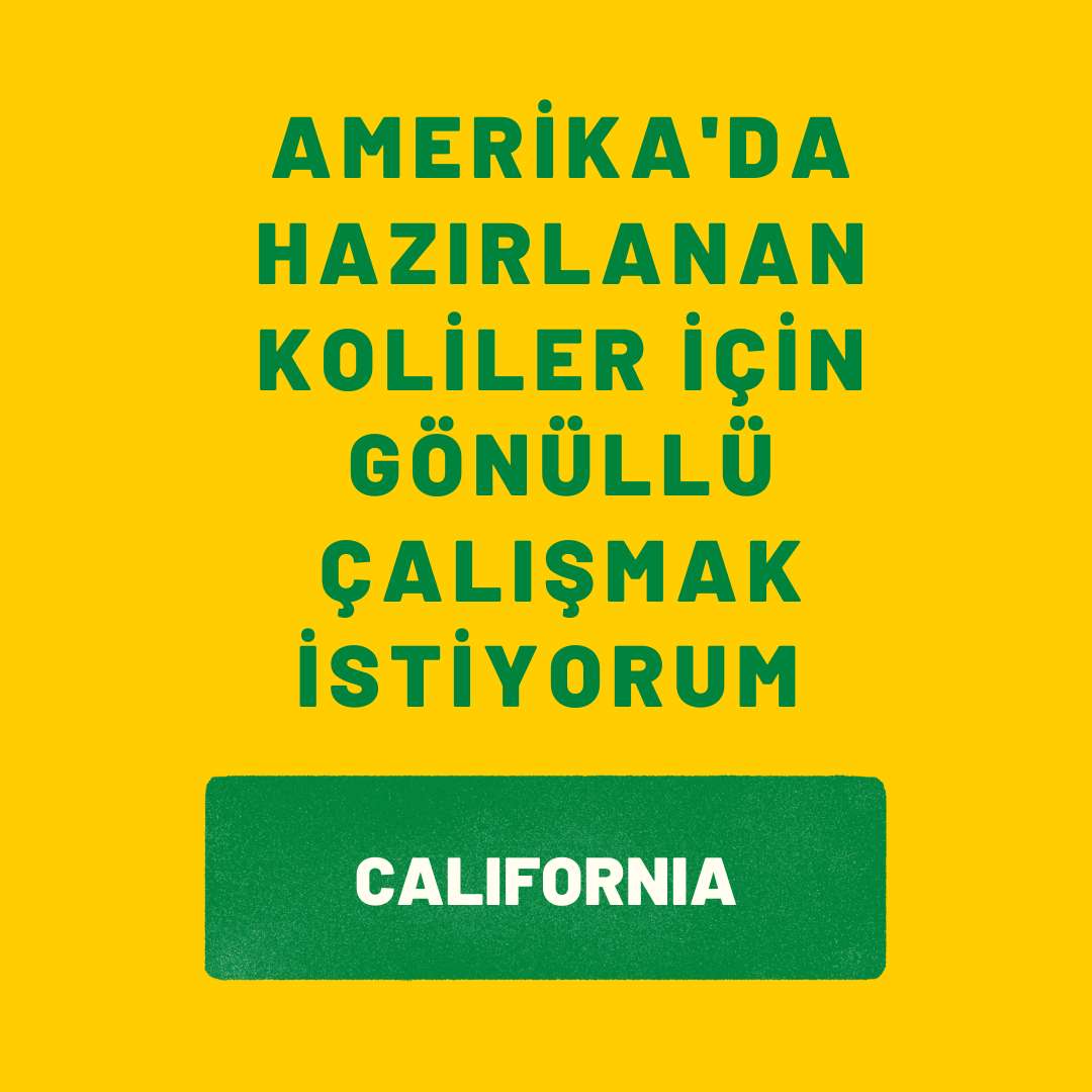 





                                                     California Deprem Yardim