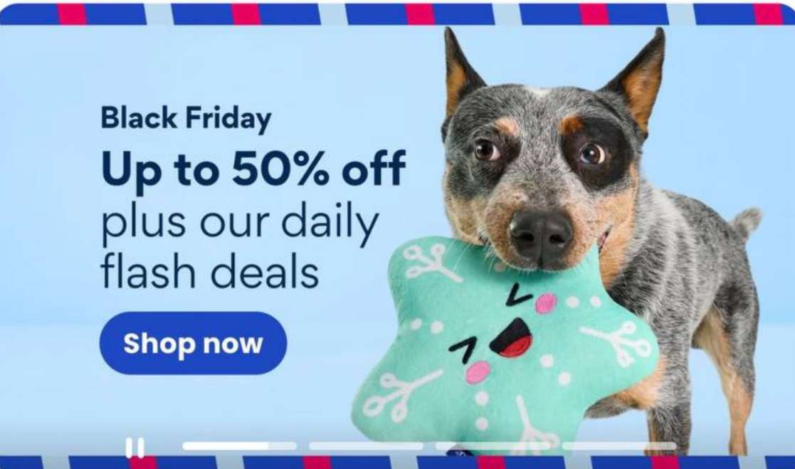 Chewy ürünlerinde Black Friday bugüne özel %50’ye varan indirim