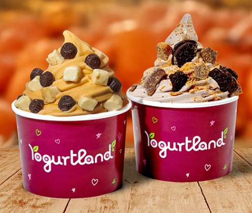 Yogurtland'da 1 alana 1 bedava