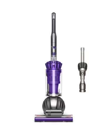 Dyson Ball Animal 