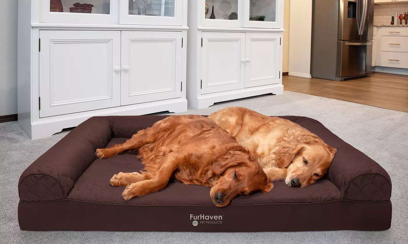 





                                                     FurHaven minder